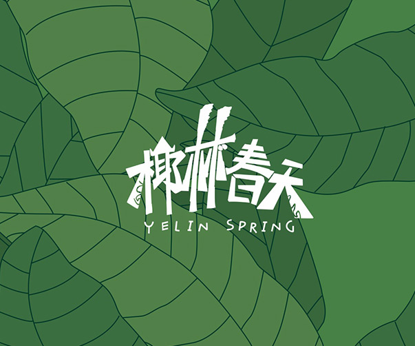 品牌設計公司在VI設計中的服務流程搭建及優勢解析